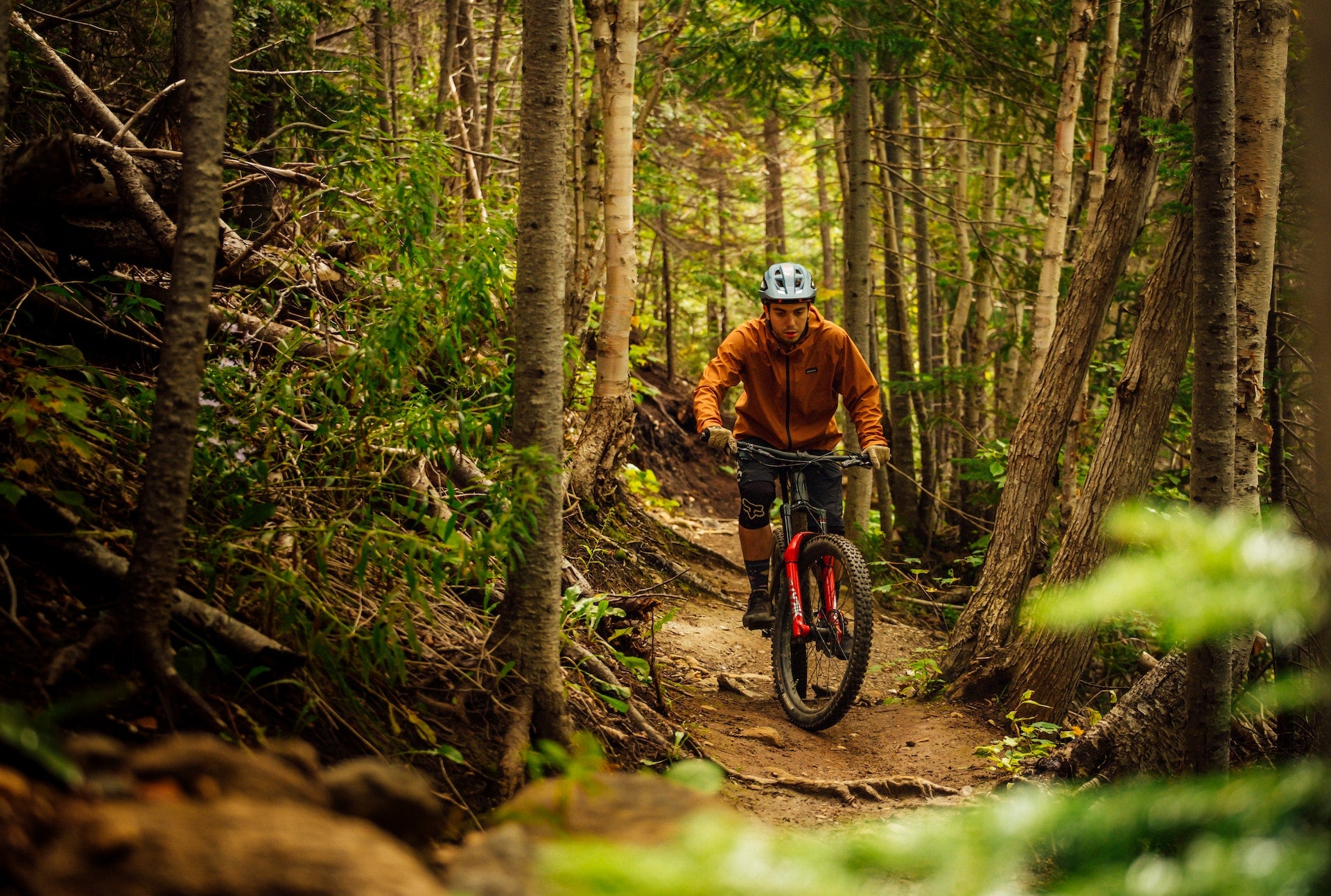 Le bikepacking en solo : une expérience de liberté ultime